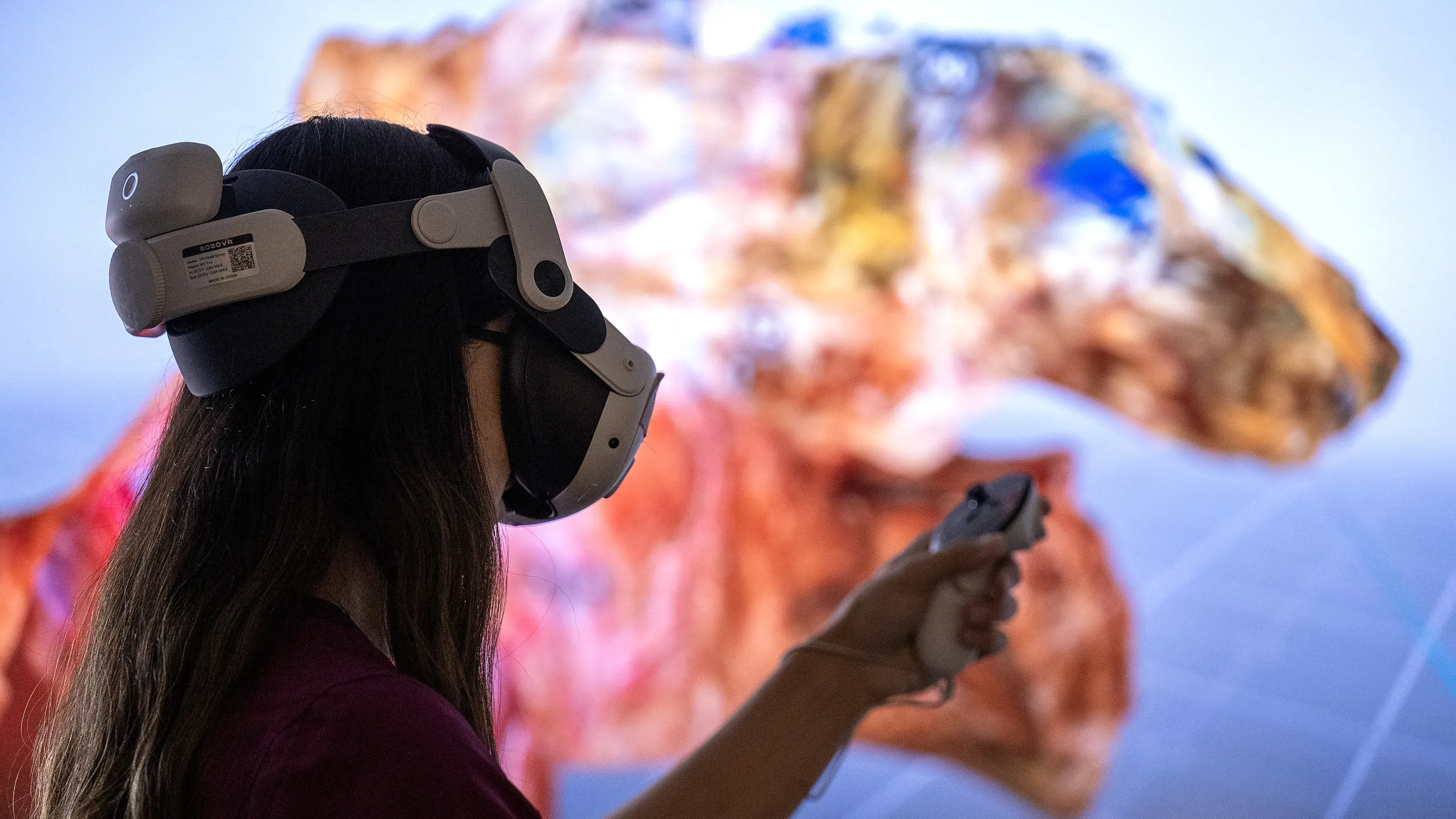 Ohio State student wearing VR headset interacting with anatomy featured on a screen behind her.